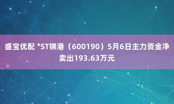 盛宝优配 *ST锦港（600190）5月6日主力资金净卖出193.63万元