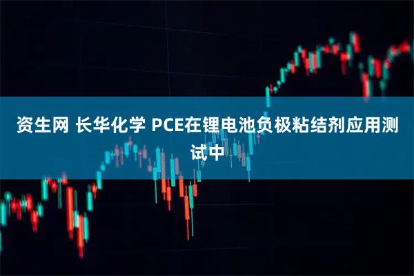 资生网 长华化学 PCE在锂电池负极粘结剂应用测试中