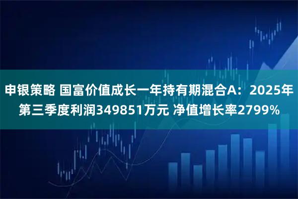 申银策略 国富价值成长一年持有期混合A：2025年第三季度利润349851万元 净值增长率2799%